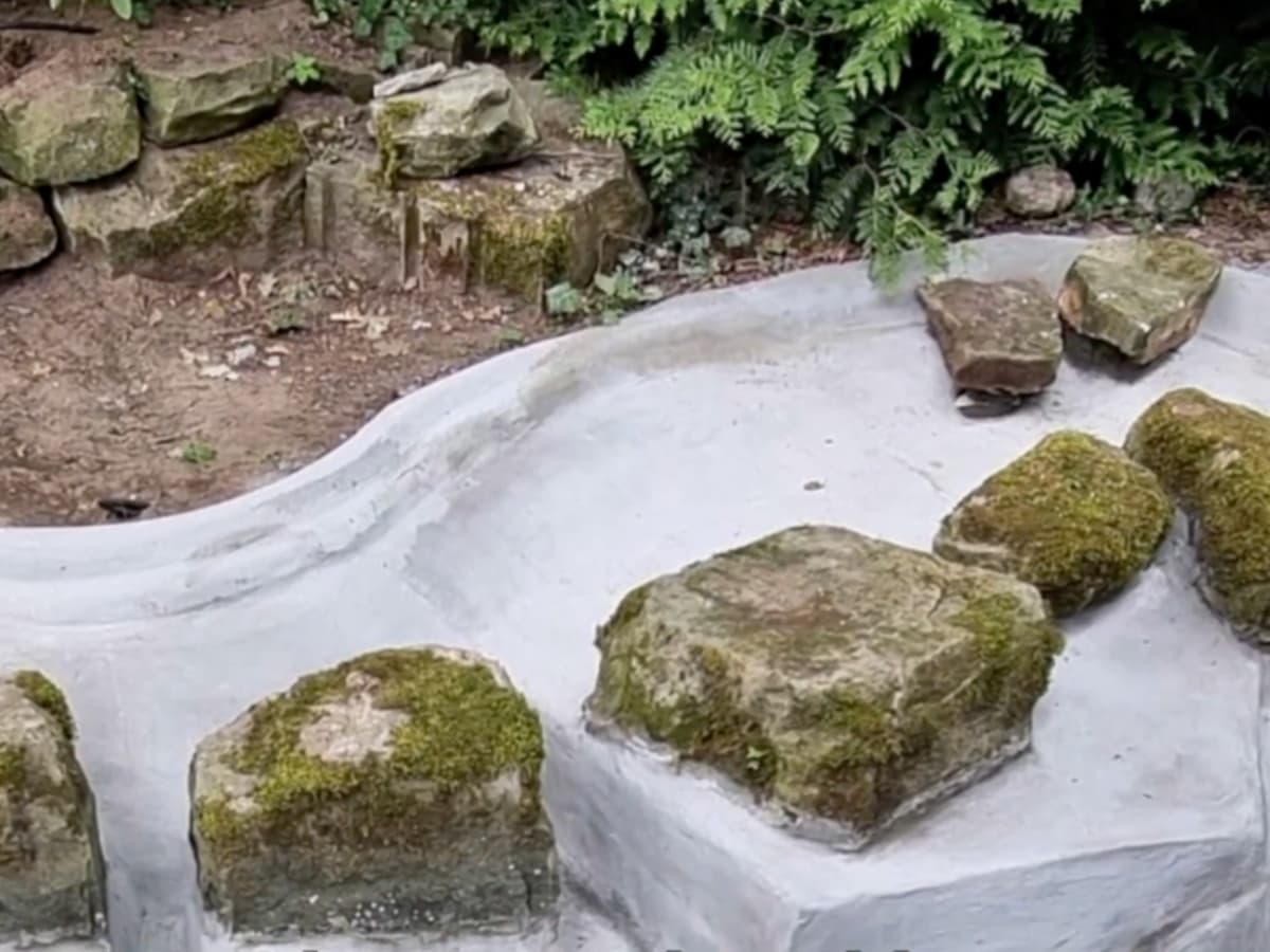 Gartenteich aus Mineralbeton.